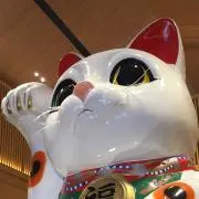 ちう
