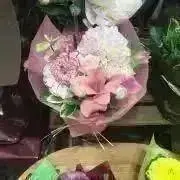 cherishの画像