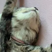 みなみの画像