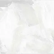 ゴンきちの画像