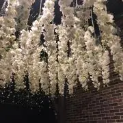 にこぴっぴ　⭐︎プロフ必読⭐︎の画像