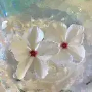 はーmama☆プロフお読み下さいの画像