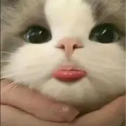 るる