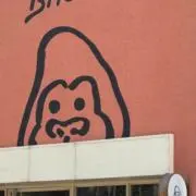 ズラタン