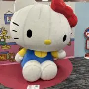 ICEの画像