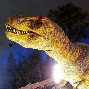 物減らし中の画像