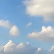 わさびくん