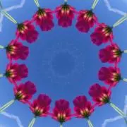 すみれ（プロフ必読）