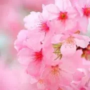 みゆう