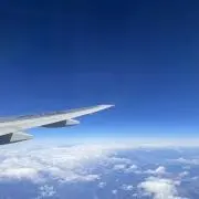 ぴっぴの画像