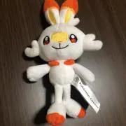 AOKUREの画像