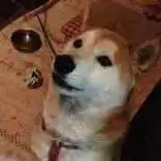 みーまま♪の画像