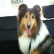 びぃの画像