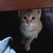 tsuki'sの画像