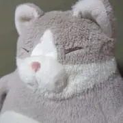 f K　匿名配送プロフ参照の画像