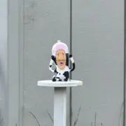 くの画像