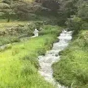 とんとんの画像