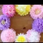 ひかる☆の画像