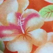＊しおりん＊の画像