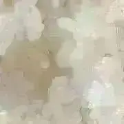 まいの画像