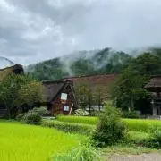 Sweetieの画像