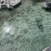 る《即購入OK》
