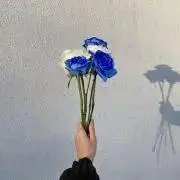 ☆☆☆の画像
