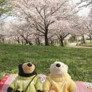 ごにゃの画像