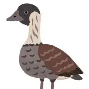 Neneの画像