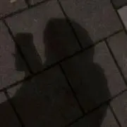 user_59b3d454