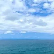 りーの画像