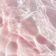 めろの画像
