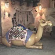 マモー