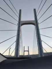ちゃしぶ