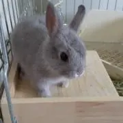 ☆Rika☆の画像
