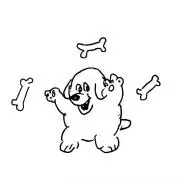 pの画像