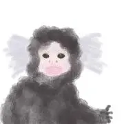 ミナの画像