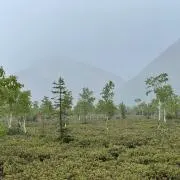 taの画像