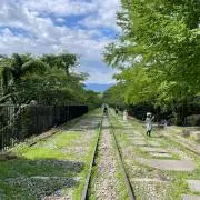 ゆっぴの画像