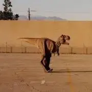 Pの画像