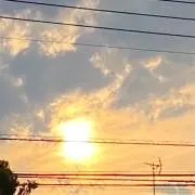 クランキーの画像