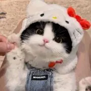 しのの画像