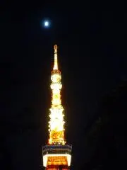 amiwa☆整理整頓