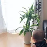 三姉妹のmama♥