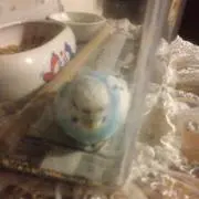 コムコム