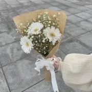 kn_730の画像