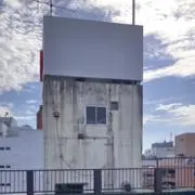 しろくまの画像