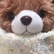 きょうやん