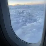 Aokijiの画像