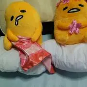 ぐで